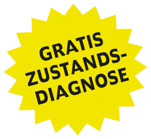 Franz Pfister AG Gratis-Zustandsdiagnose
